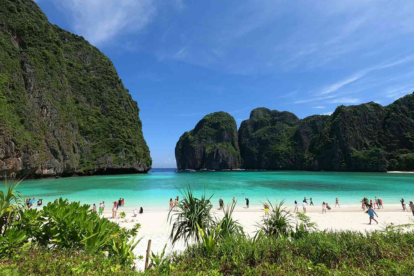 May Bay Koh Phi Phi Thaïlande