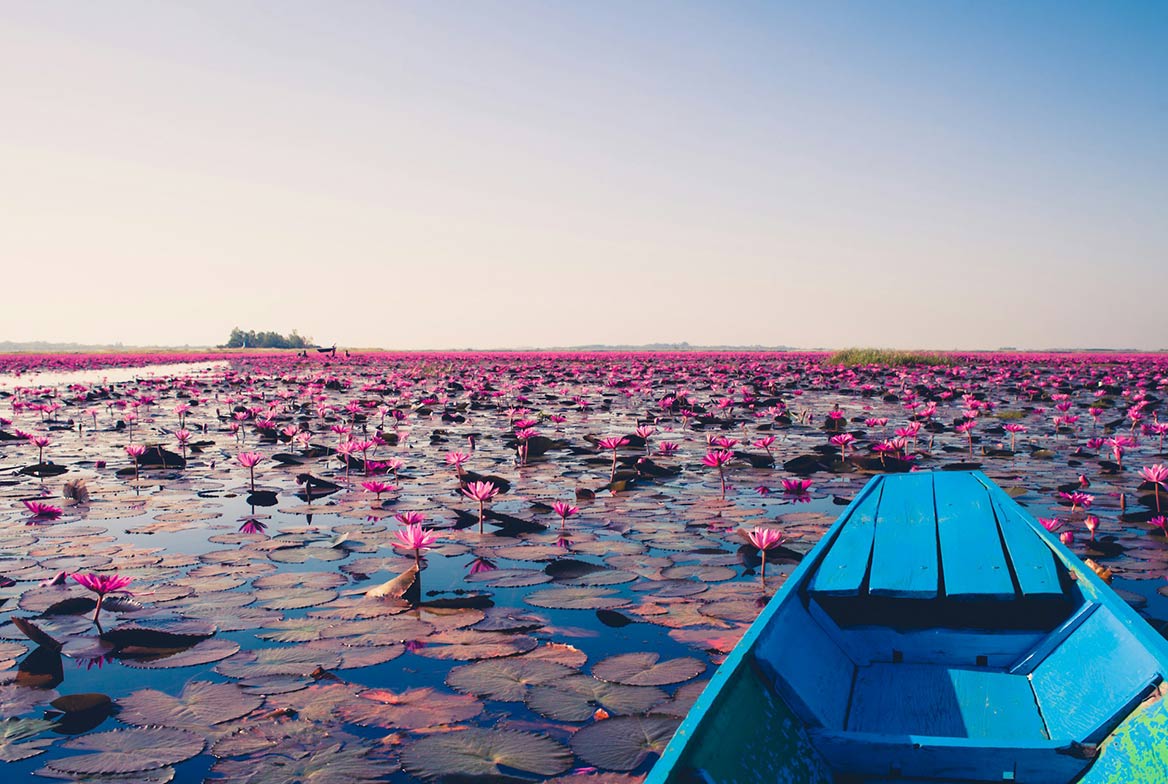 lac du lotus rouge Udon Thani